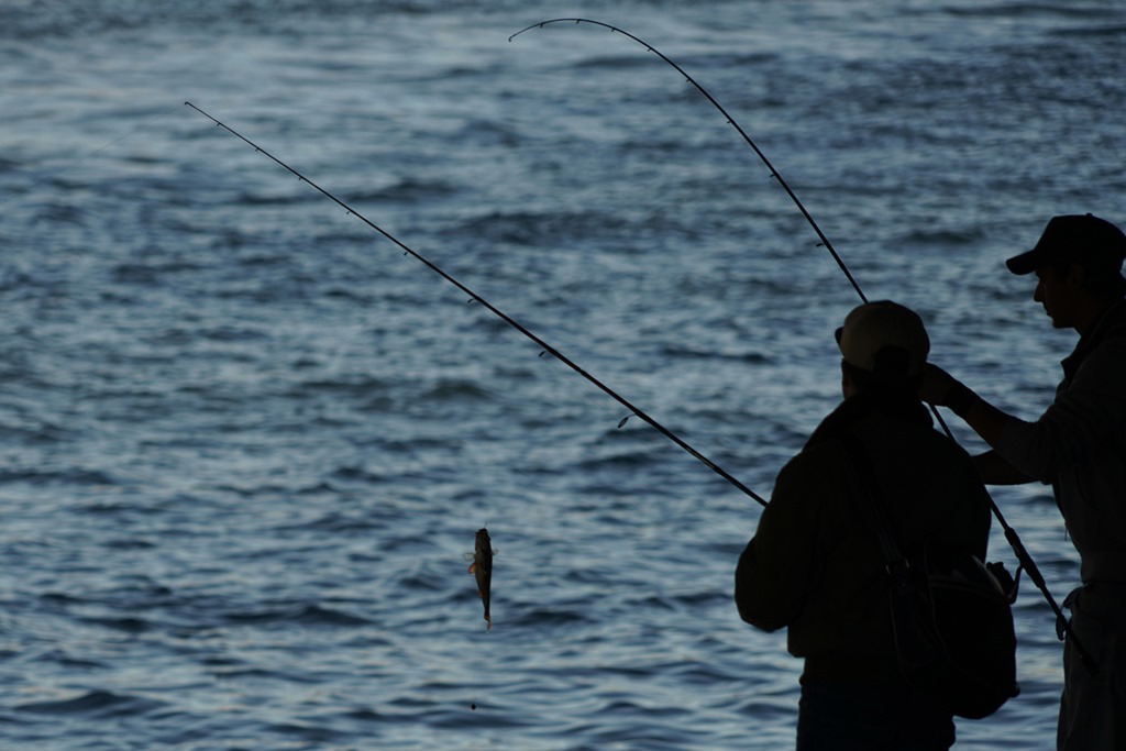 [paris%2520fishermen%2520111515%252000001%255B8%255D.jpg]