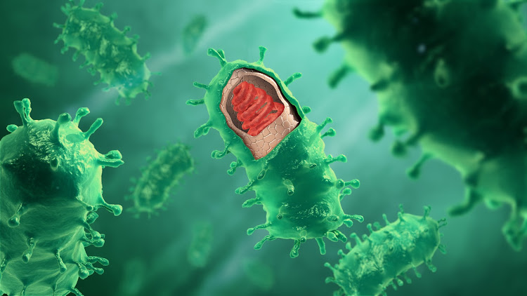 An illustration of the rabies virus structure.