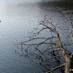 Etangs de Comelle