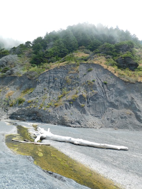 C020_USA CA Lost Coast SP_2018-07-28_DSCN1839