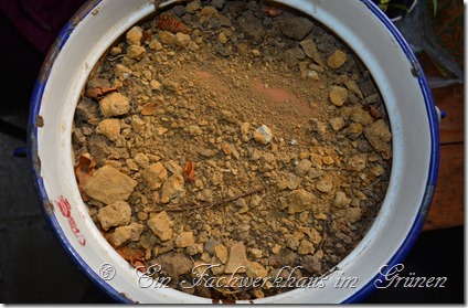 DSC_0256 DSC_0256