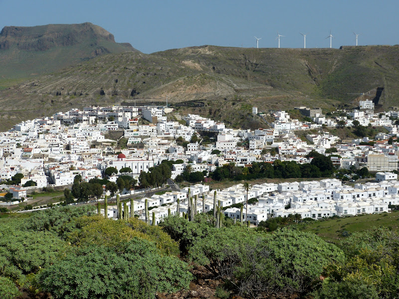 Gran Canaria P1180167