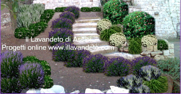 Progetto giardini. della in legno verde progetto giardini with ... Progettare un giardino gratis