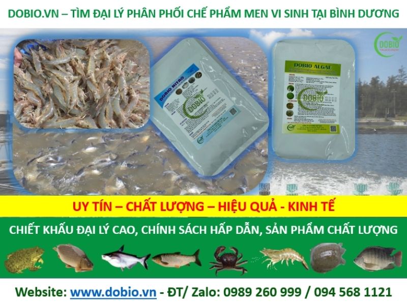 Đại lý kinh doanh thức ăn thuỷ sản tại Dobio
