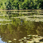 20140726_Fishing_Sergiyivka_036.jpg