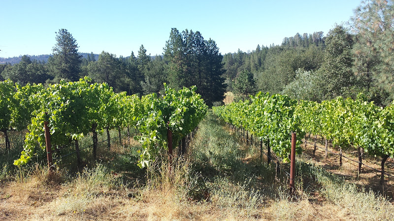 Hauptbild von Baiocchi Family Vineyards