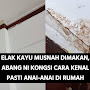 Elak Kayu Musnah Dimakan, Abang Ni Kongsi Cara Kenal Pasti Anai-Anai Di Rumah - Info