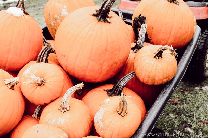 Pumpkins in the wagon!