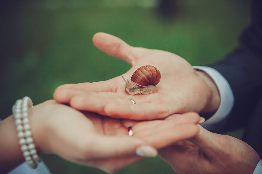 Wedding photographer Alena Polozhenceva (nimta). Photo of 21 June 2015