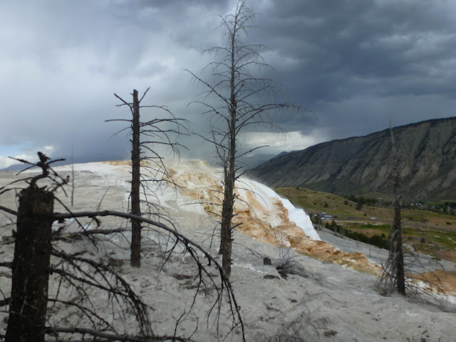 Mammoth Hot Springs. Valle de Lamar. Calcite Springs. Tower Falls. 12 Julio - LAS ROCOSAS DE CANADA. YELLOWSTONE Y GRAND TETON. (14)