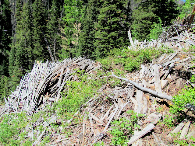 Huge pile of scrap lumber