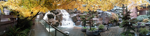 Park «UPS Waterfall Garden Park», reviews and photos, 219 2nd Ave S, Seattle, WA 98104, USA