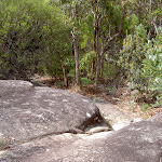 Rocky surface before track narrows on Box Head (20993)