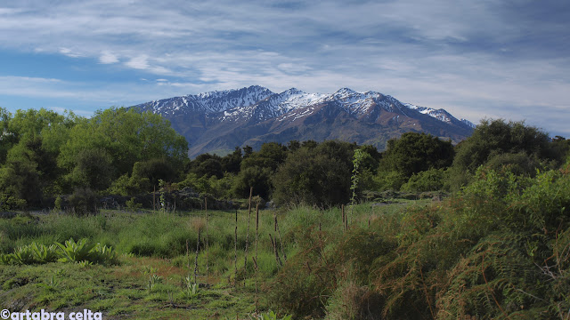 BRUCE BAY, HAAST PASS, LAGO HAWEA, WANAKA,MONTE ASPIRING Y QUEENSTOWN - NUEVA ZELANDA EN AUTOCARAVANA. UN VIAJE DE ENSUEÑO (12)