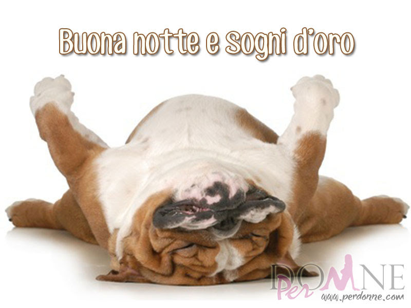 Risultati immagini per buonanotte animali