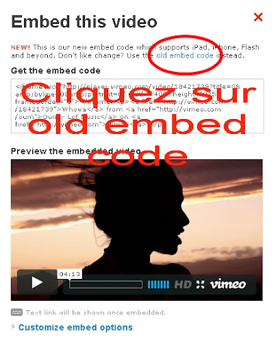 Comment poster une vidéo (google vidéo, Dailymotion, Youtube, Vimeo, Rutube, Ubest1, Wat.tv, megavideo) 5