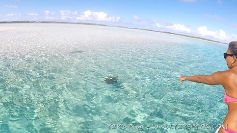 Squalo e Tartaruga - Rangiroa