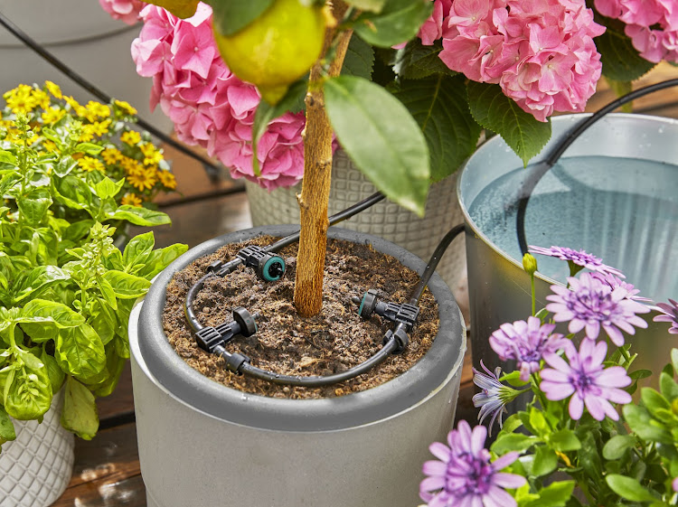 The solar-powered Aqua Bloom water controller.