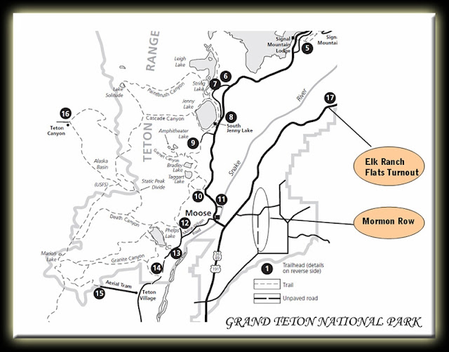 GRAND TETON NATIONAL PARK (WYOMING, USA), Naturaleza-USA (19)