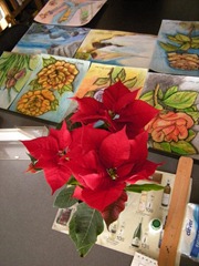 Poinssettia 6