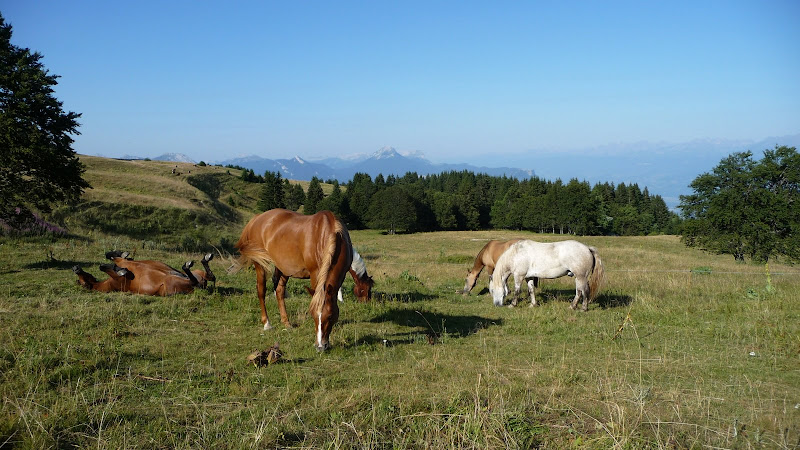 En rando dans le Vercors 113