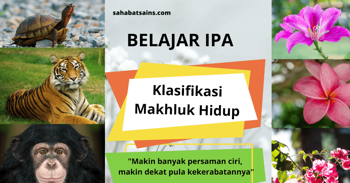 Sistem klasifikasi dapat dibuat sederhana berdasarkan manfaat. sebagai contoh tanaman bunga mawar, m