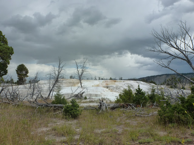 Mammoth Hot Springs. Valle de Lamar. Calcite Springs. Tower Falls. 12 Julio - LAS ROCOSAS DE CANADA. YELLOWSTONE Y GRAND TETON. (8)