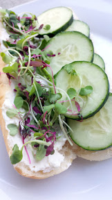 Homemade ricotta on Franz Bakery Stadium Rolls with sliced cucumber and microgreens. Simple sandwich and great for a summer heatwave meal