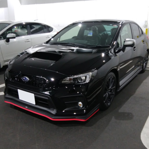 見栄張るシューマッハのプロフィール画像