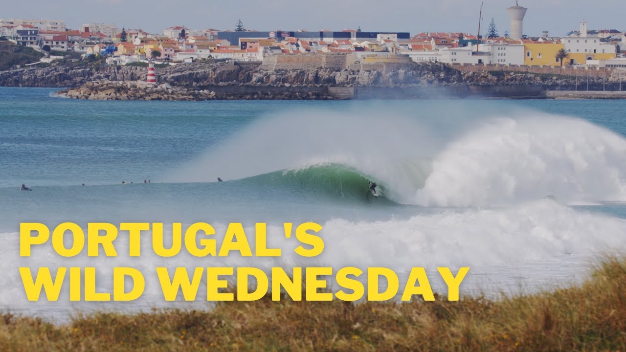 Portugal's Wild Wednesday | February 2023