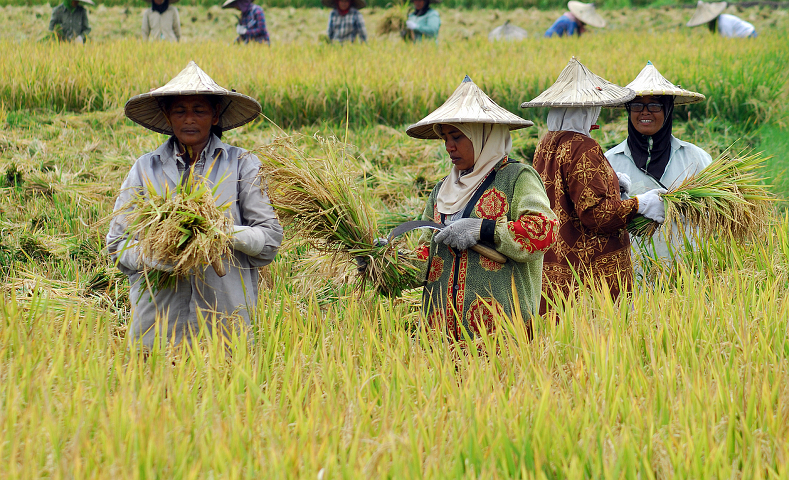 Learning Seo Onpage Tutorial Jiotmoney