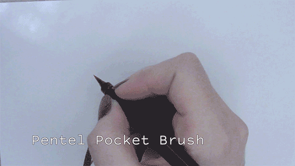 pocketbrush