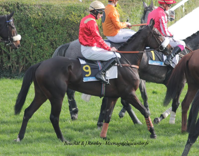 Photos Auteuil 8-11-2015 (48h de l'obstacle) IMG_6786