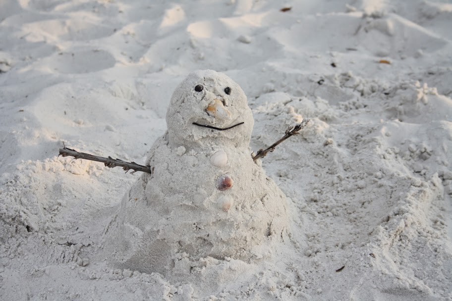 Florida Snowman