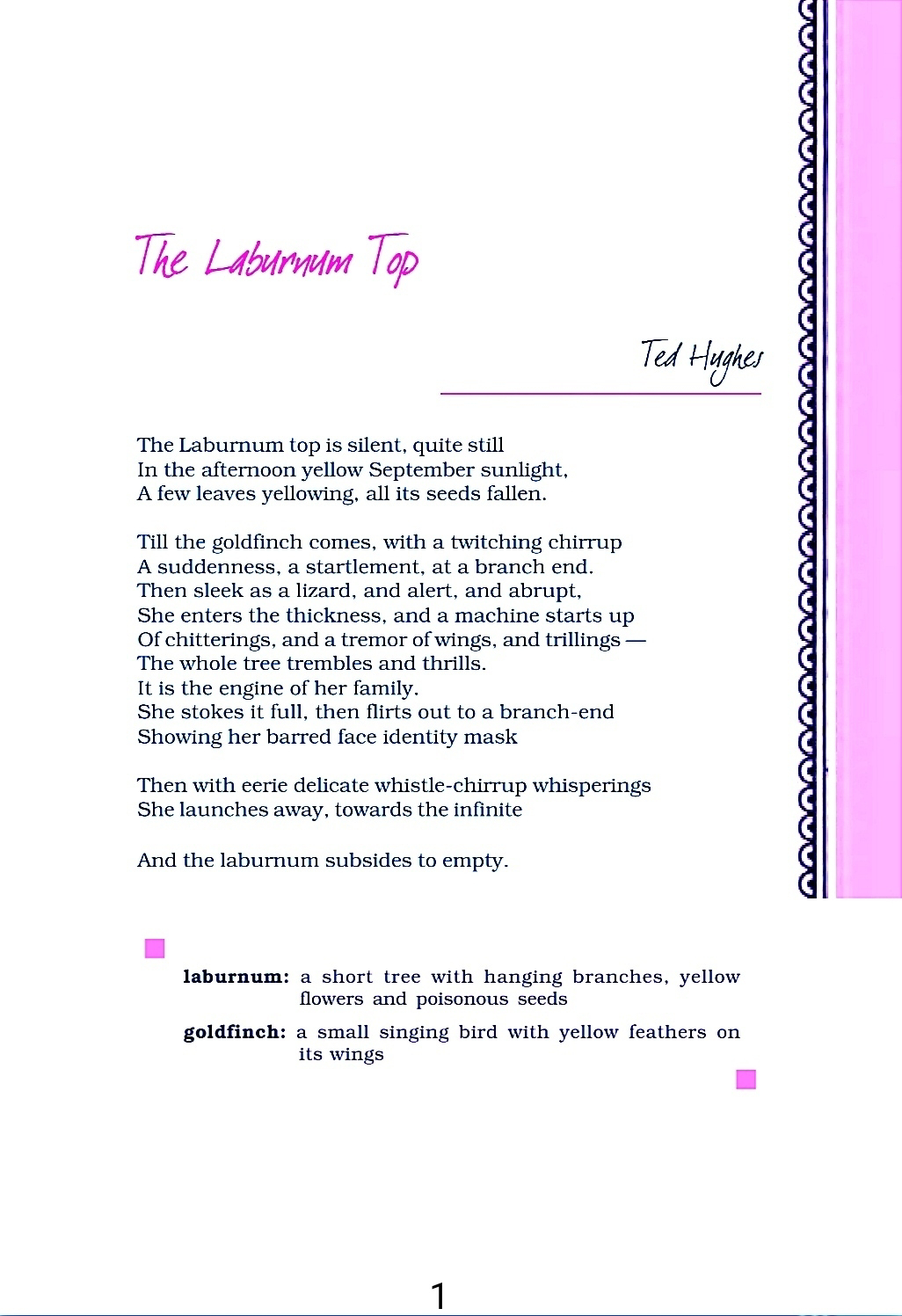 EduRankers: The Laburnum Top;NCERT and Summary for Class