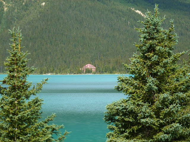 LAS ROCOSAS DE CANADA. YELLOWSTONE Y GRAND TETON. - Blogs de Canada - Icefields Parkway. Llegada a Jasper. 5 de Julio (8)