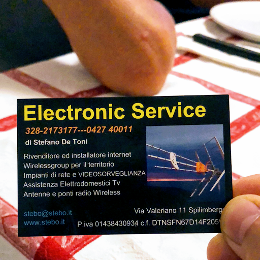 Electronic Service Di Stefano De Toni logo