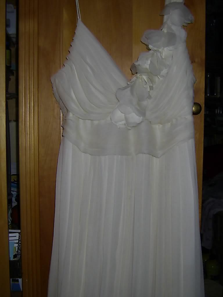 NWOT  895 J.CREW ORGANZA DUNE SILK IVORY WEDDING GOWN LONG DRESS 14 NWOT