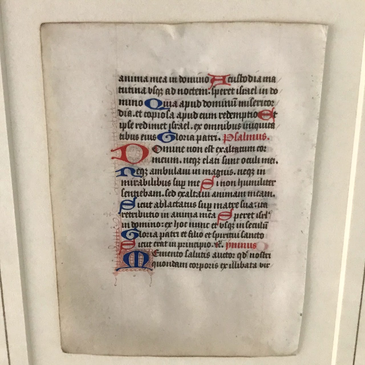 Medieval Style Latin Manuscript Page