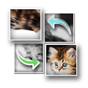 Puzzle Cat  Icon