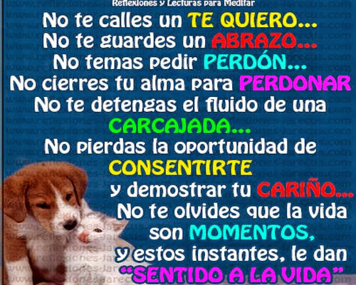 ****** IMAGENES BONITAS CON FRASES ****** - Página 9 Cortasfrasesconreflexionesdeautoayudaparaempezareldia