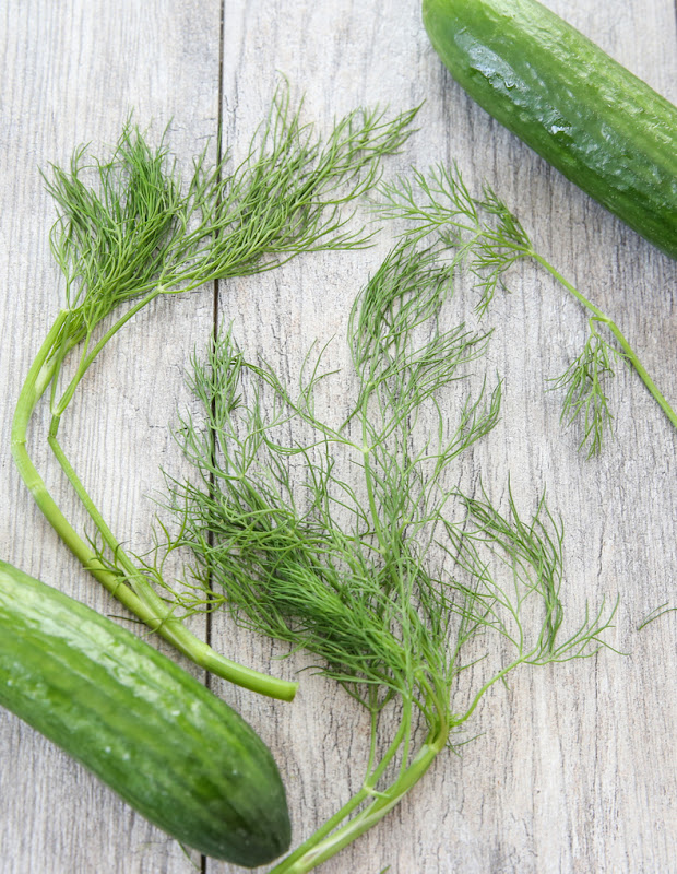 overhead photo of fresh dill and whole cucumbers