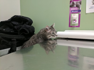 Photos of Corydon Animal Hospital