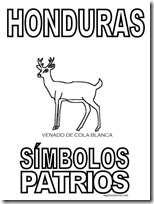 simbolos patrios honduras 1