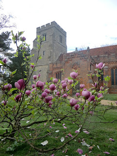 CIMG0439 All Saints, Feering