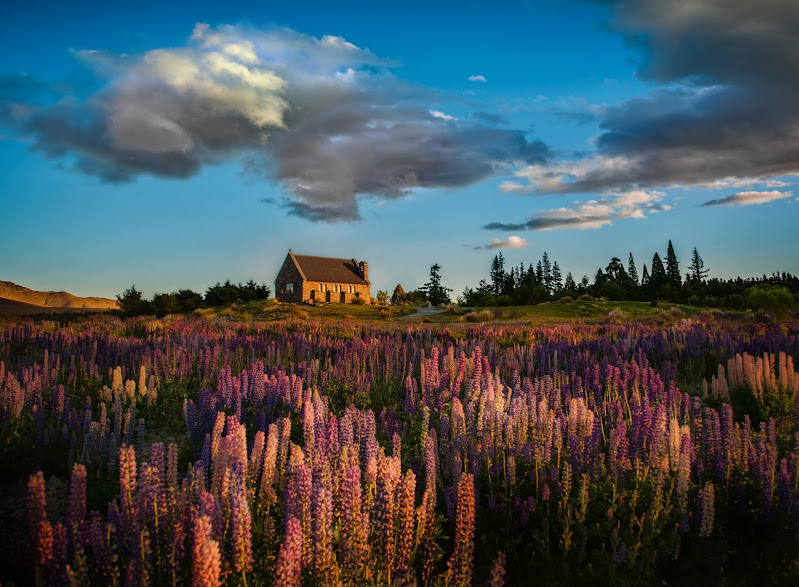 صور طبيعيه للتصميم Trey-ratcliff-tekapo-church-in-lupins2