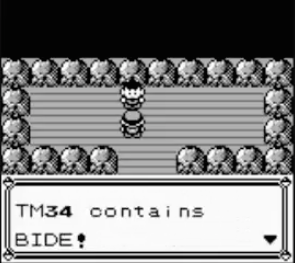 Brock TM34 contains Bide