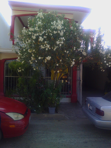 Mi Mamma Pizza, Calle Heracio Bernal #4397, Ferrocarrilera, 80194 Culiacán Rosales, Sin., México, Pizza para llevar | SIN