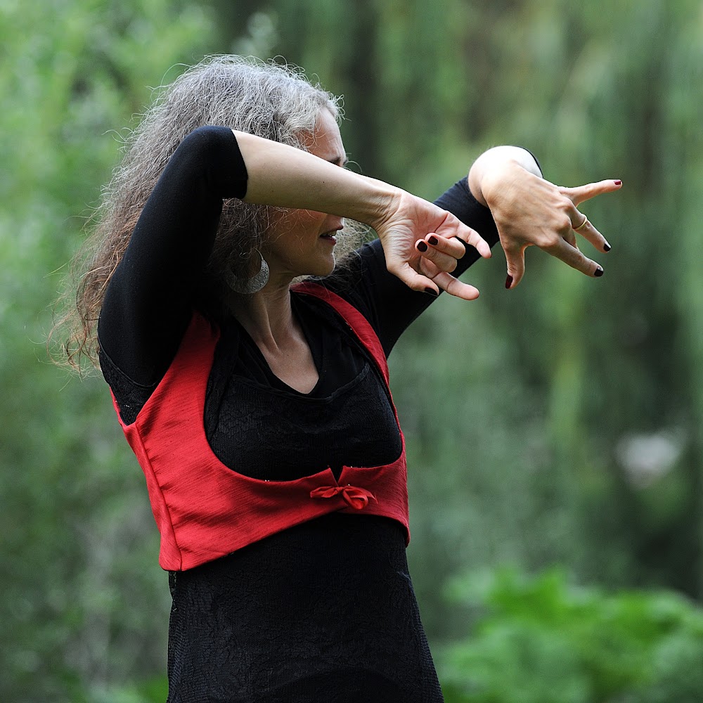 EntrezdansladanseFlamenco©FrédériqueC (5)