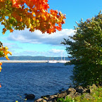 Autumn colours. 20120928-01-west-harbour-colour.jpg